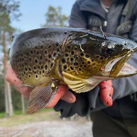 Elvero Ferienhaus Trysil