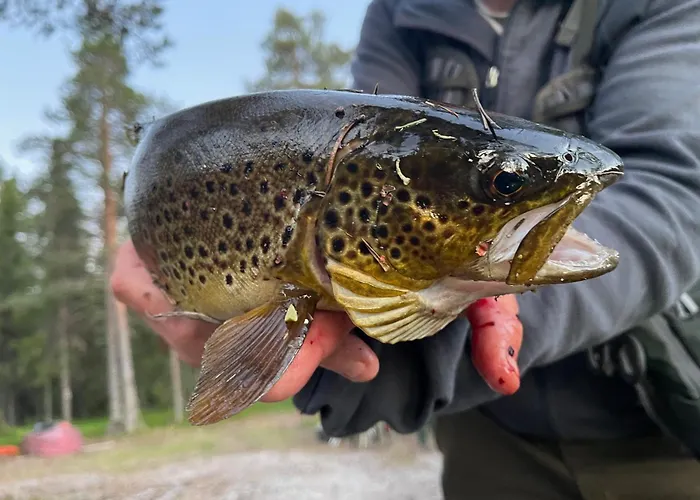 Elvero Vakantiehuis Trysil